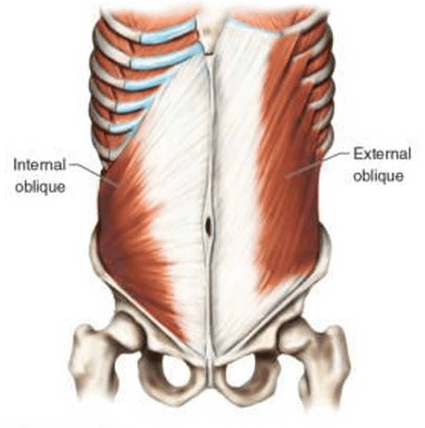 Screen Shot 2023-04-04 at 8.48.00 AM 7 Screen Shot 2023 04 04 at 8.48.00 AM