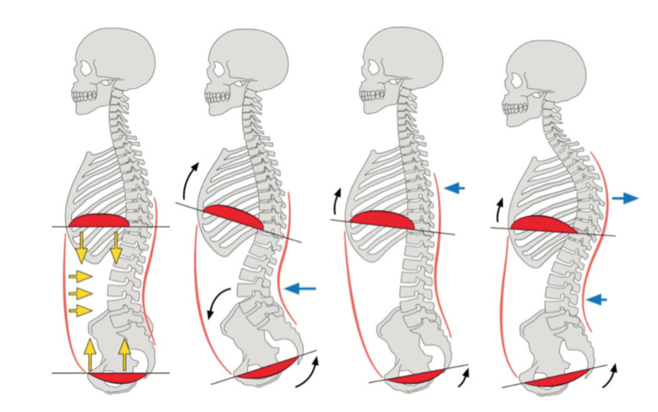 engage-my-core 12 engage my core